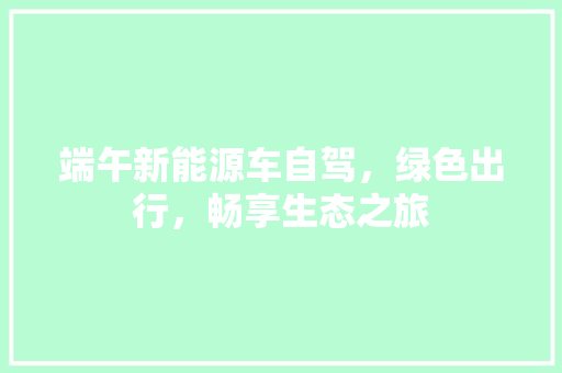 端午新能源车自驾，绿色出行，畅享生态之旅