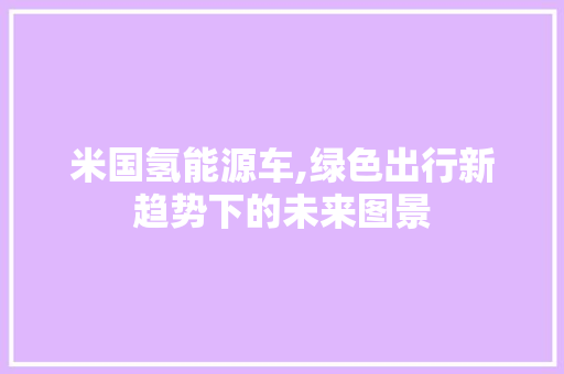米国氢能源车,绿色出行新趋势下的未来图景