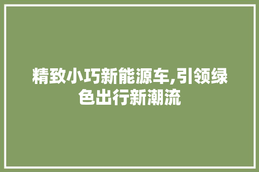 精致小巧新能源车,引领绿色出行新潮流
