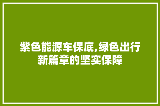 紫色能源车保底,绿色出行新篇章的坚实保障