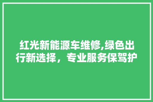 红光新能源车维修,绿色出行新选择，专业服务保驾护航