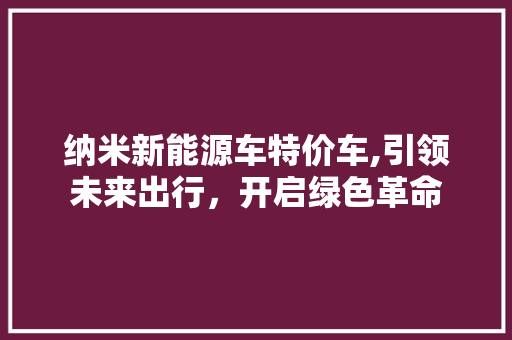 纳米新能源车特价车,引领未来出行，开启绿色革命