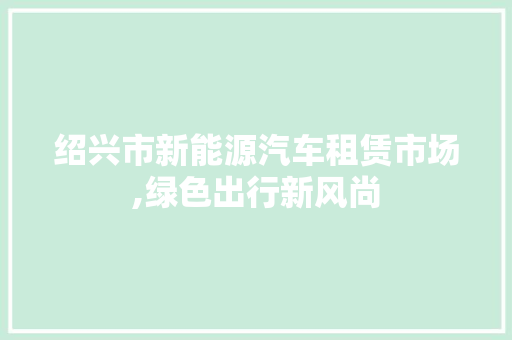 绍兴市新能源汽车租赁市场,绿色出行新风尚