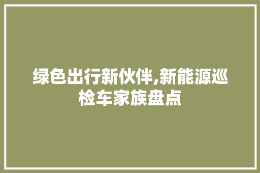 绿色出行新伙伴,新能源巡检车家族盘点