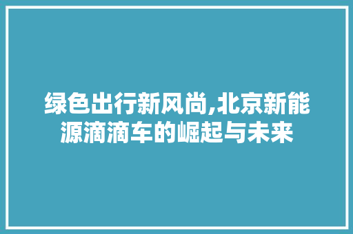 绿色出行新风尚,北京新能源滴滴车的崛起与未来