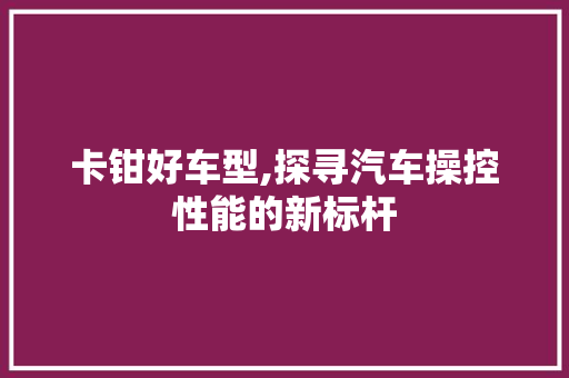 卡钳好车型,探寻汽车操控性能的新标杆