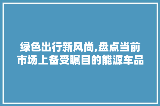 绿色出行新风尚,盘点当前市场上备受瞩目的能源车品牌