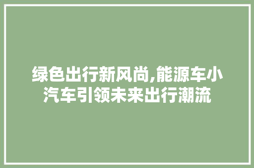 绿色出行新风尚,能源车小汽车引领未来出行潮流