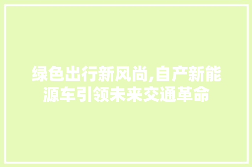 绿色出行新风尚,自产新能源车引领未来交通革命