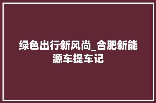 绿色出行新风尚_合肥新能源车提车记