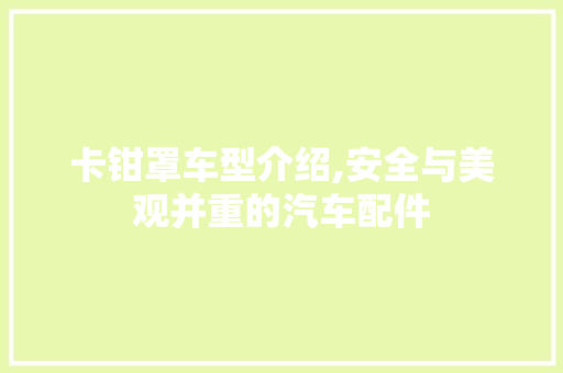 卡钳罩车型介绍,安全与美观并重的汽车配件