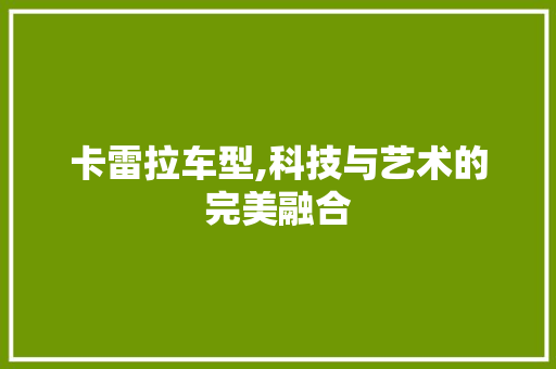 卡雷拉车型,科技与艺术的完美融合