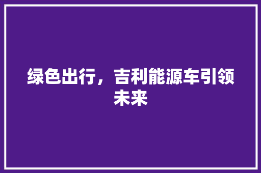 绿色出行，吉利能源车引领未来