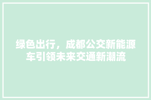 绿色出行，成都公交新能源车引领未来交通新潮流