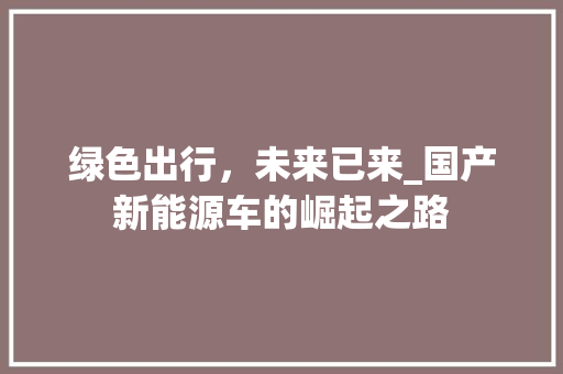 绿色出行，未来已来_国产新能源车的崛起之路
