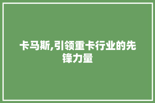 卡马斯,引领重卡行业的先锋力量