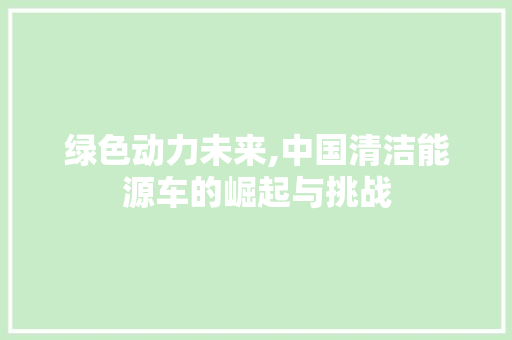 绿色动力未来,中国清洁能源车的崛起与挑战