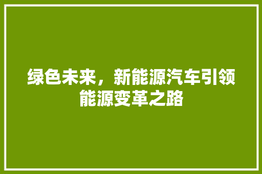 绿色未来，新能源汽车引领能源变革之路