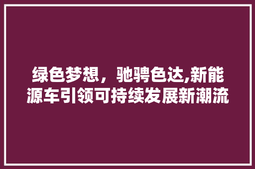 绿色梦想，驰骋色达,新能源车引领可持续发展新潮流
