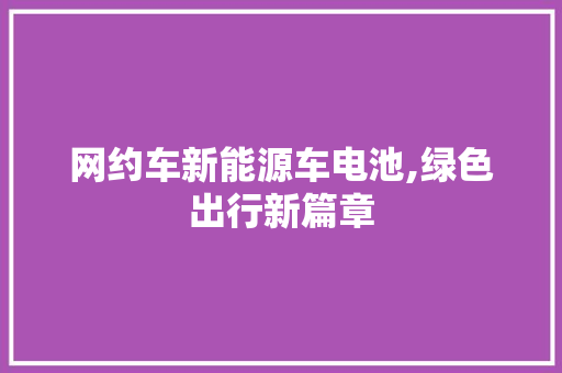 网约车新能源车电池,绿色出行新篇章