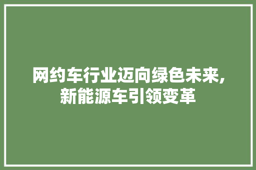 网约车行业迈向绿色未来,新能源车引领变革