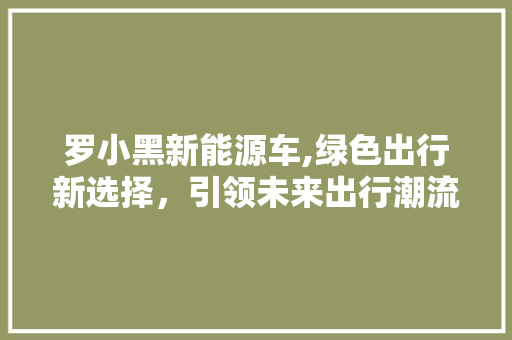 罗小黑新能源车,绿色出行新选择，引领未来出行潮流