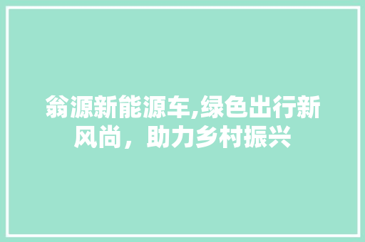 翁源新能源车,绿色出行新风尚，助力乡村振兴