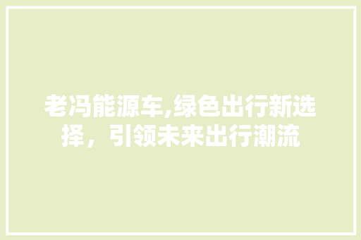 老冯能源车,绿色出行新选择，引领未来出行潮流