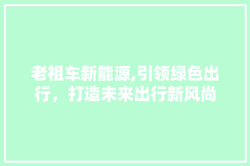 老祖车新能源,引领绿色出行，打造未来出行新风尚