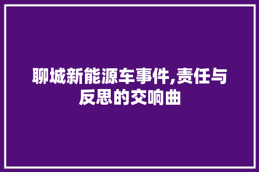聊城新能源车事件,责任与反思的交响曲