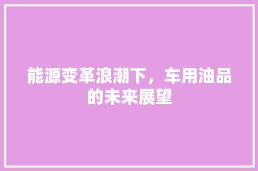 能源变革浪潮下，车用油品的未来展望