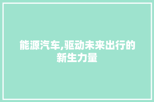 能源汽车,驱动未来出行的新生力量
