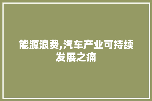 能源浪费,汽车产业可持续发展之痛