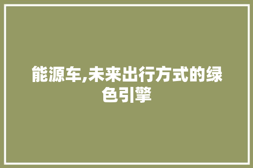 能源车,未来出行方式的绿色引擎