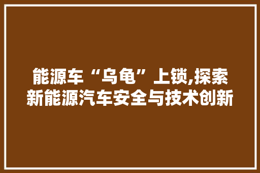 能源车“乌龟”上锁,探索新能源汽车安全与技术创新