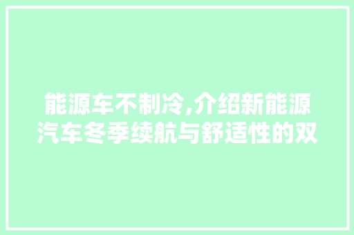 能源车不制冷,介绍新能源汽车冬季续航与舒适性的双重挑战