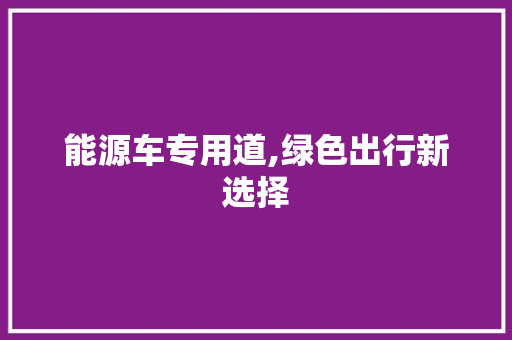能源车专用道,绿色出行新选择