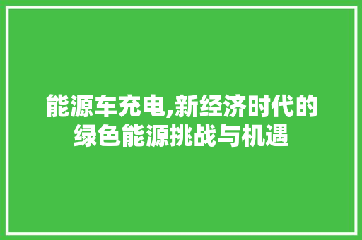 能源车充电,新经济时代的绿色能源挑战与机遇