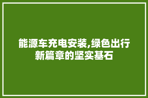 能源车充电安装,绿色出行新篇章的坚实基石