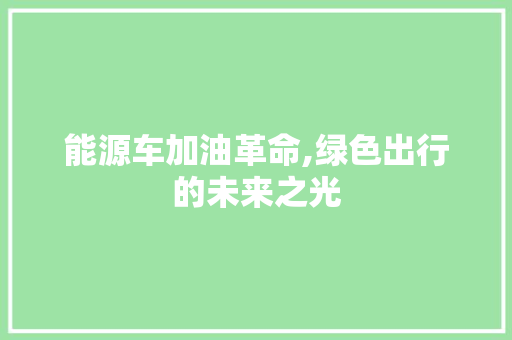 能源车加油革命,绿色出行的未来之光