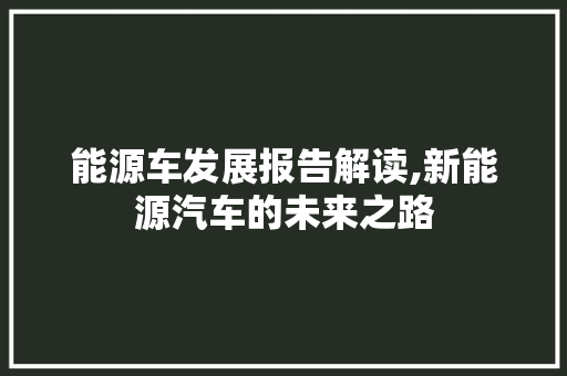 能源车发展报告解读,新能源汽车的未来之路
