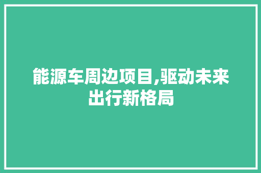 能源车周边项目,驱动未来出行新格局