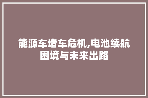 能源车堵车危机,电池续航困境与未来出路