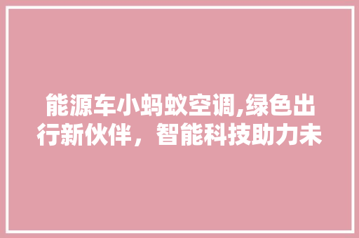 能源车小蚂蚁空调,绿色出行新伙伴，智能科技助力未来生活