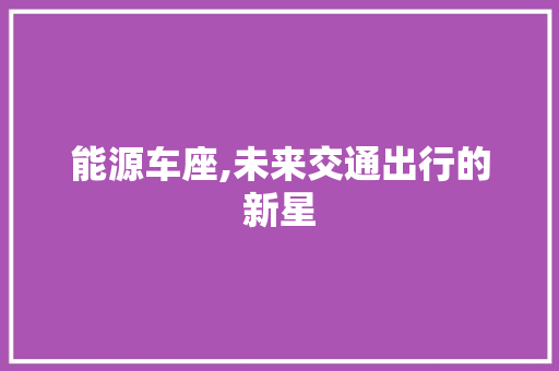 能源车座,未来交通出行的新星