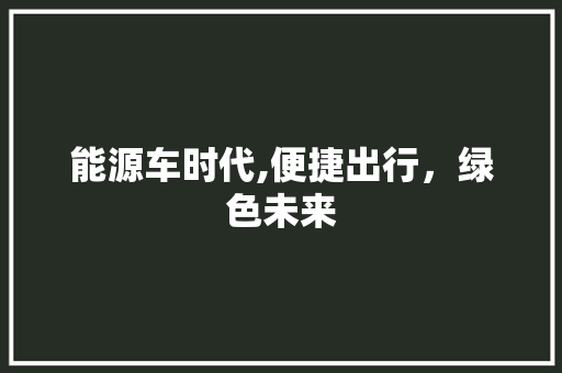 能源车时代,便捷出行，绿色未来