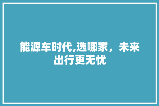 能源车时代,选哪家，未来出行更无忧