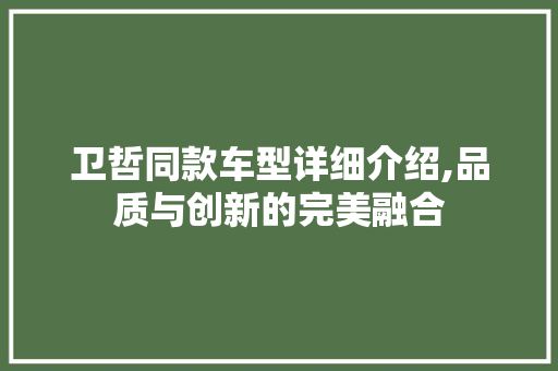 卫哲同款车型详细介绍,品质与创新的完美融合