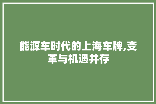 能源车时代的上海车牌,变革与机遇并存