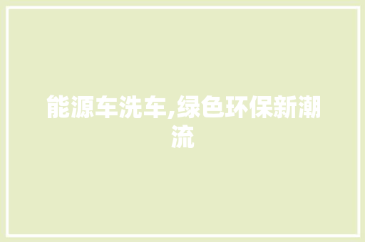 能源车洗车,绿色环保新潮流